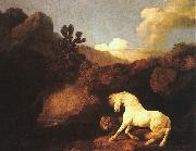 George Stubbs A Horse Frightened by a Lion oil